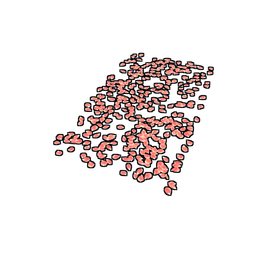 Скин Rose Pedals Rug