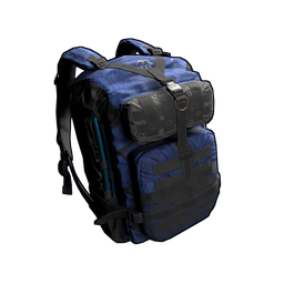 Скин Arctic Backpack