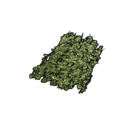 Скин Jungle Ivy