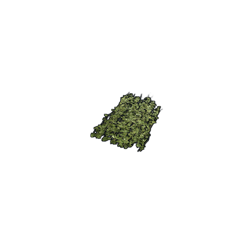 Скин Jungle Ivy в Rust