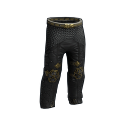 Скин Black Paladin Pants