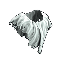 Скин Ghost Guise Poncho