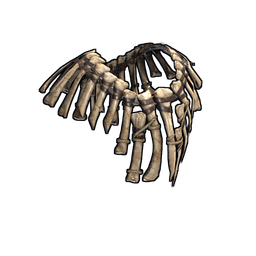 Скин Bone Armor Poncho