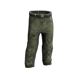 Скин Flashbacks Pants