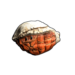 Скин Hermit Crab Rock