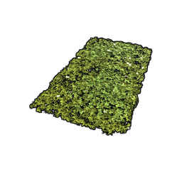 Скин Grass Rug
