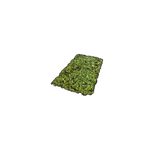 Скин Grass Rug в Rust