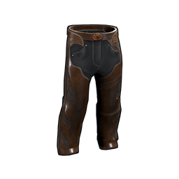 Скин Banditos Pants