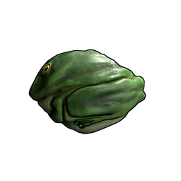 Скин Frog Rock