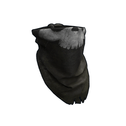 Скин Pirate Bandana