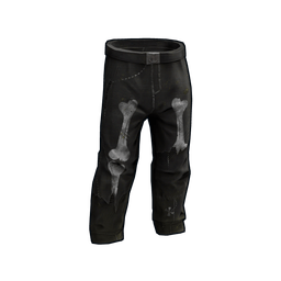 Скин Pirate Pantalones
