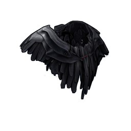 Скин Raven Poncho
