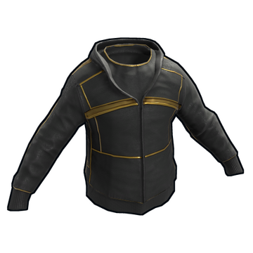 Black and 2025 gold hoodie