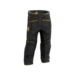 Скин Black Gold Pants