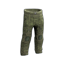 Скин Forest Raiders Pants