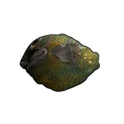 Скин Fish Rock