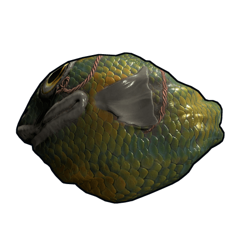 Fish Rock