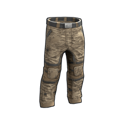 Скин Desert Raiders Pants