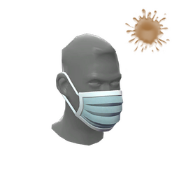 Particulate Protector