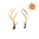 Unusual Exquisite Rack (Orbiting Planets)