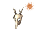 The Shaman's Skull
