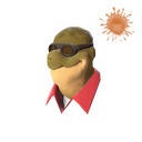 Dell in the Shell