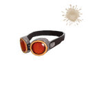 The Planeswalker Goggles