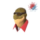 Dell in the Shell