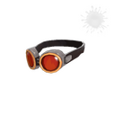 The Planeswalker Goggles