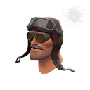 The Barnstormer