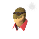 Dell in the Shell