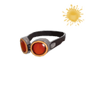 The Planeswalker Goggles