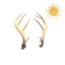 Unusual Exquisite Rack (Orbiting Planets)