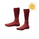 The Red Socks