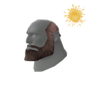 The Unshaved Bear