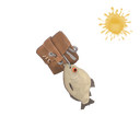 Strange Bait and Bite