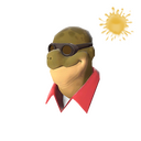 Dell in the Shell