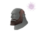 The Unshaved Bear