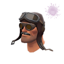 The Barnstormer