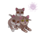 Strange Catastrophic Companions