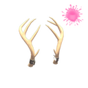 Unusual Exquisite Rack (Orbiting Planets)