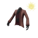 The Rogue's Robe