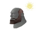 The Unshaved Bear