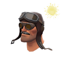 The Barnstormer