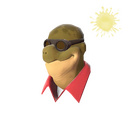 Dell in the Shell