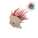 The Mask of the Shaman