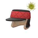 Unusual Puffy Polar Cap (Open Mind)