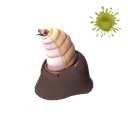 The Larval Lid