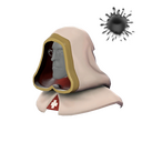 The Nunhood