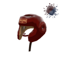 Pugilist's Protector